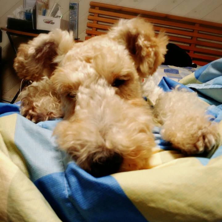 D5b41406 231d 46b4 85d5 350b134ea10e