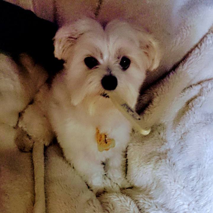 D5b46d91 41fd 41fa 9377 cc20798e72cd