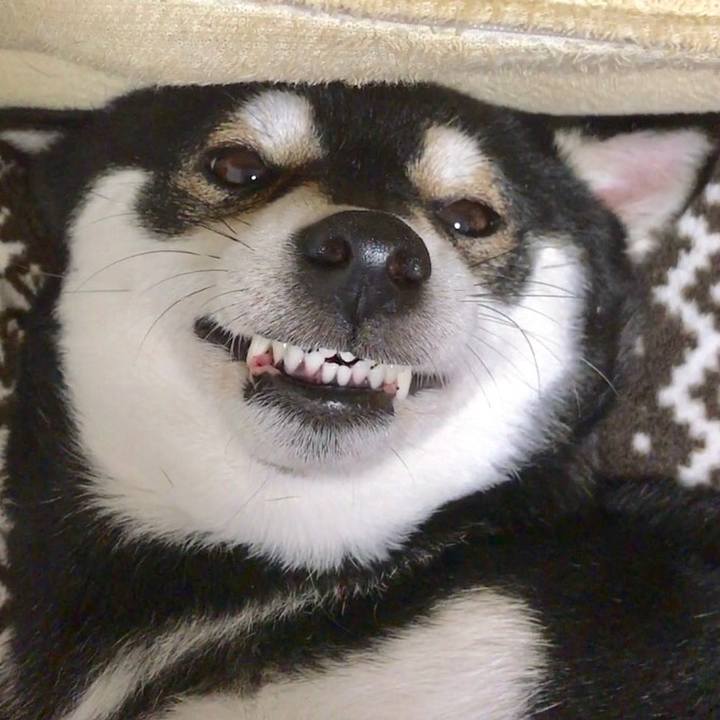 D5b483f3 97f5 4aad b0f7 1ddddc1ad87b