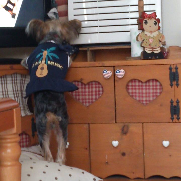 D5b53073 a8e2 438d 8250 cc2dc58a7d3d