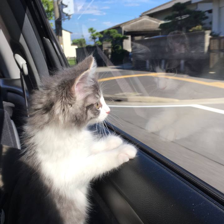 D5b64c50 64e2 4663 ad55 96ddde1050fe