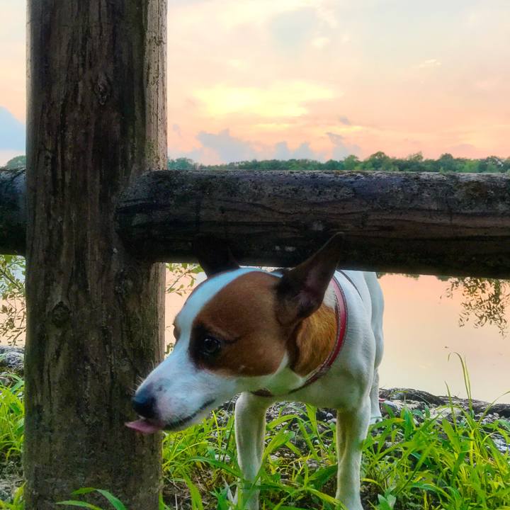 D5b7a525 2fc0 49a0 8756 7a3092143aa5