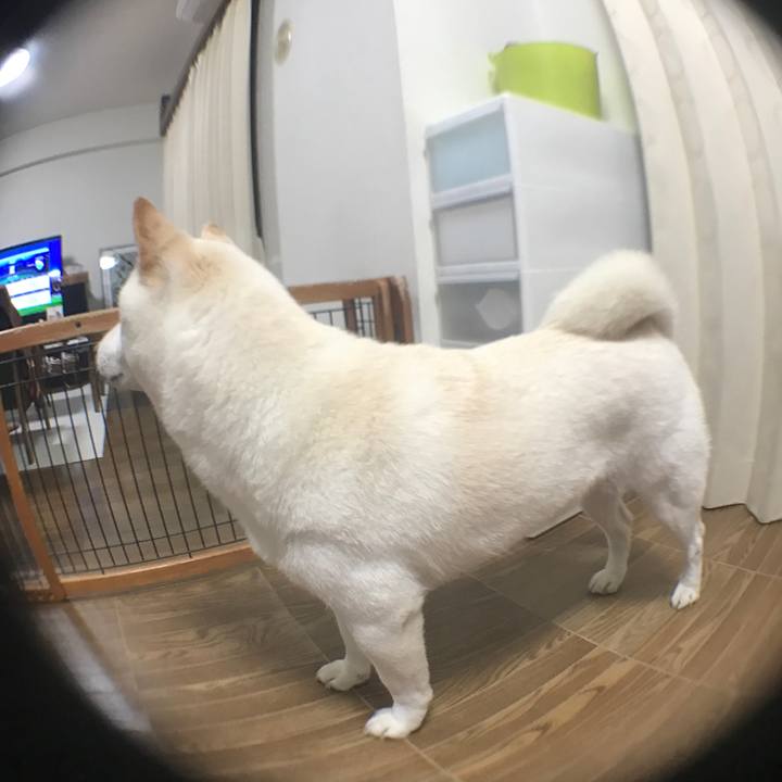 D5b7c314 9017 40c3 8a7a 4c2ca36407b5