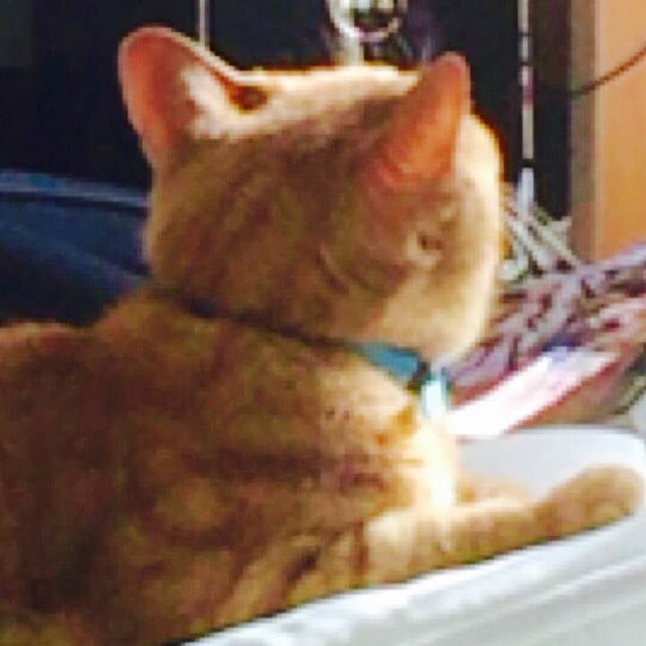 D5b80c89 898d 4699 bfee c86740f211e1