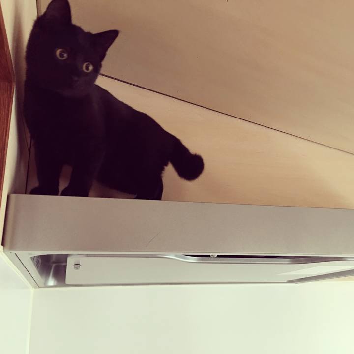 D5b82b47 7cf7 4be1 8797 0b3ff439ea46