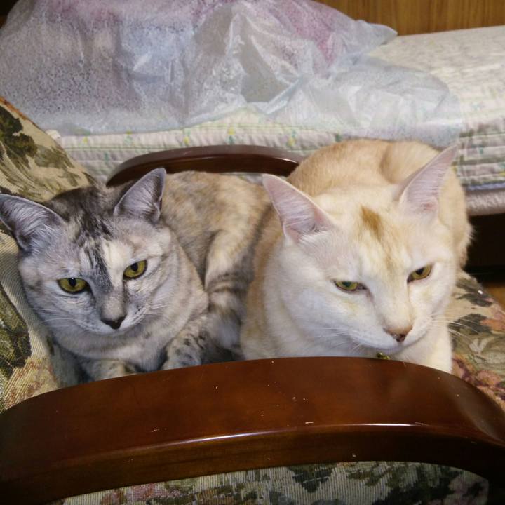 D5b8acad fba1 42b7 834e fdfe61a2643b