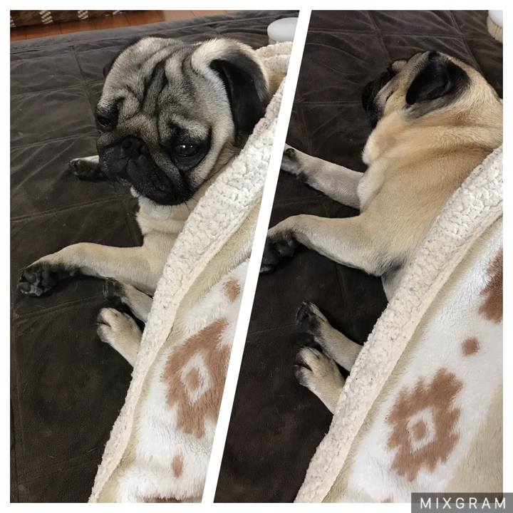 D5b8c9af 43b5 4d5e b386 93a01761b85b