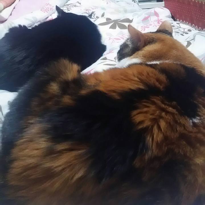 D5b8e99e 3680 4204 a9ef 6f4175736d88