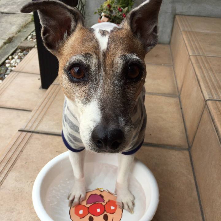 D5b8eff2 3c4e 4bbc ba31 837768bdf213