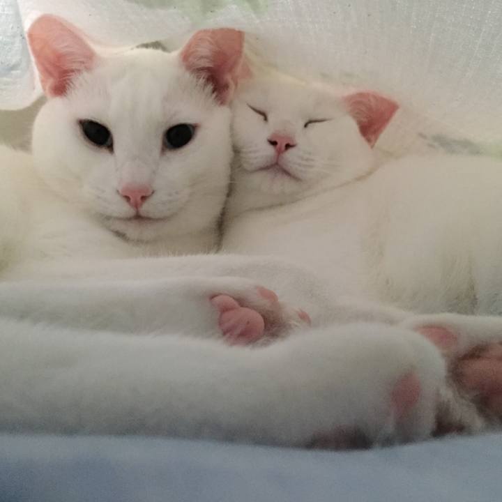 D5b9fdab 9f5e 4eb2 ae8f 0ef705109cf2