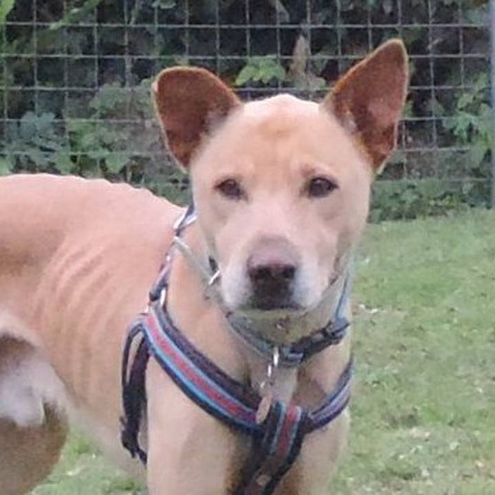 D5ba22ff 6ee1 47d5 98a8 53d5ab04cedc