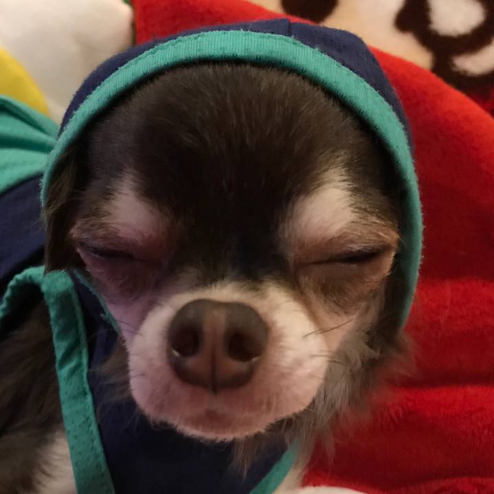 D5ba3dba 82a2 40e2 86bb 6c9230dd72ee