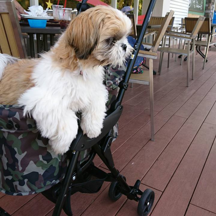 D5ba5184 a147 417d 8493 7263e540f53d