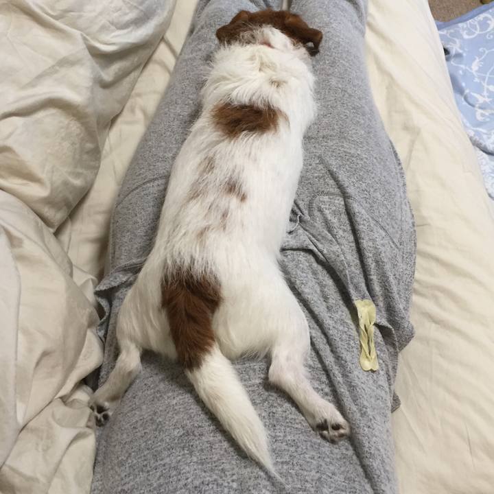 D5ba8cc8 6dab 457e 8c56 98fe16068fdc