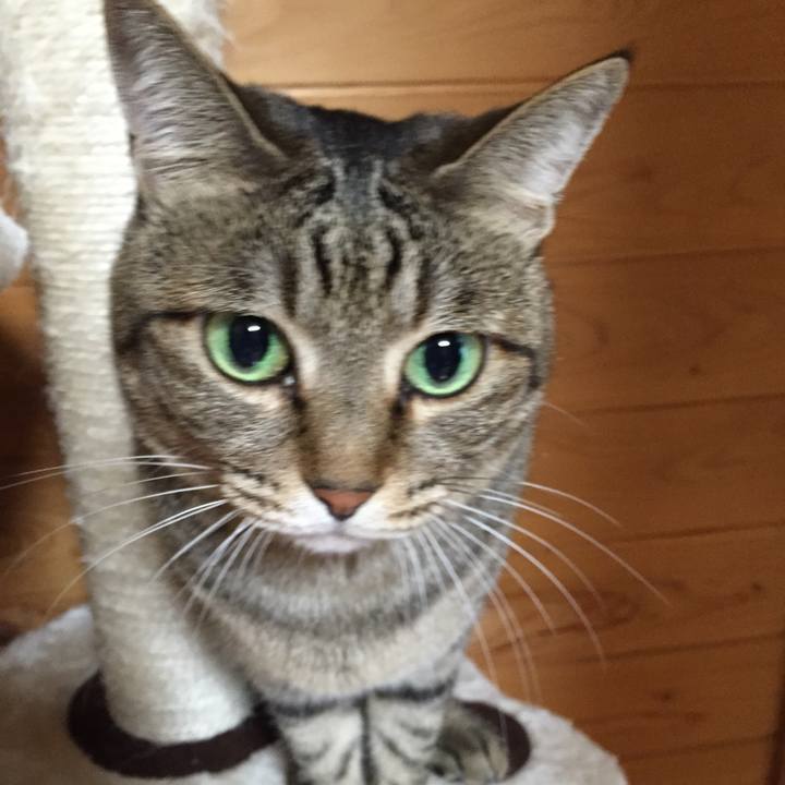 D5ba99db 78d0 43e8 9b33 fbdc595e53b9