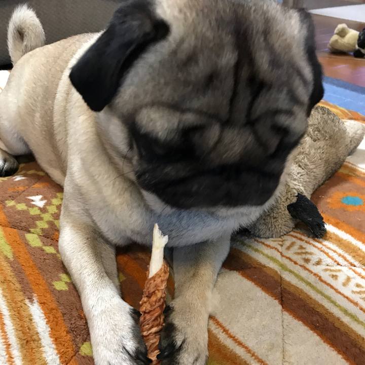 D5bba1c6 15a5 4227 98f6 367dddfa65f0