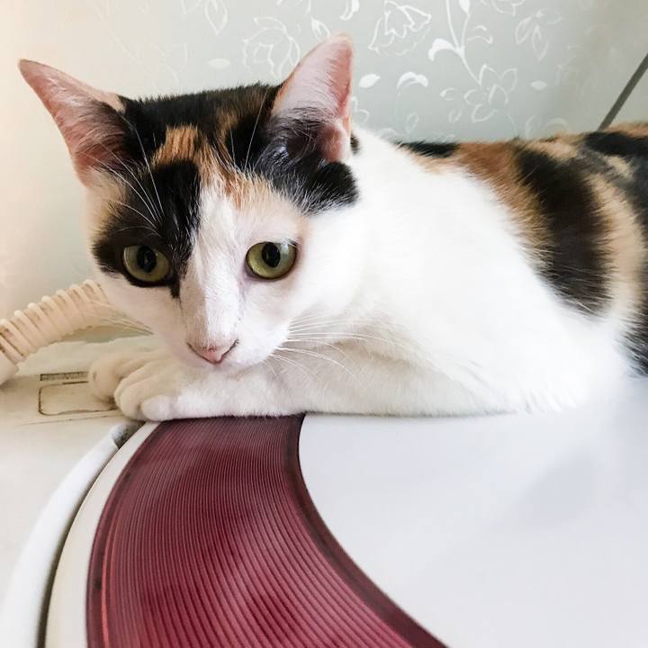 D5bbd93d 2083 466c b9a7 f4634406c444