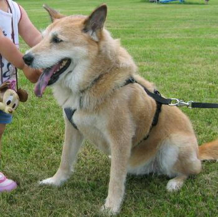 D5bc0a91 8cc1 4167 bbe1 3db81a5ec376