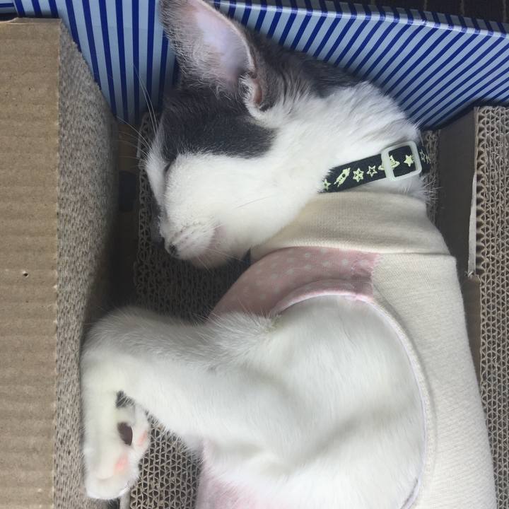 D5bcf890 de50 429e a0e6 ab9a99cbf62b