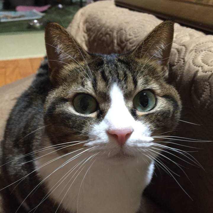 D5bdbde0 1fed 444e 9a9d fe709282d9ae