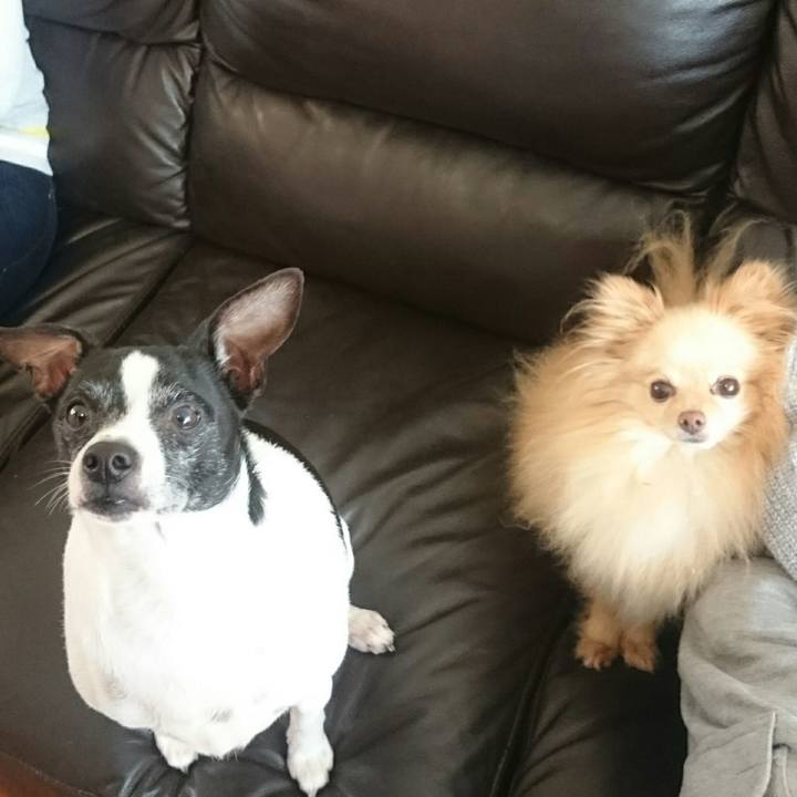 D5be7197 b57e 4ae7 8055 0407ac7d9966