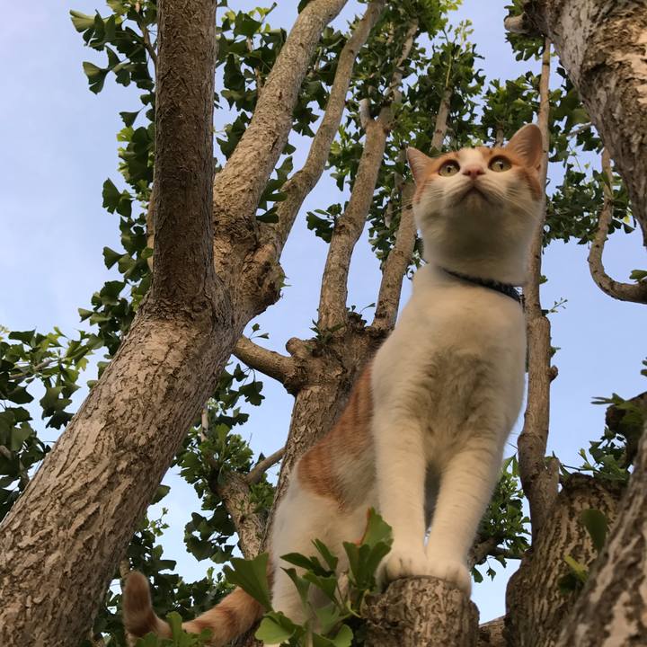 D5beac53 bf74 40cd aefa b91f4e4151e8