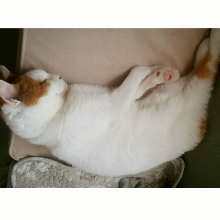 D5bed04c 01e1 43b1 ab15 446ee0aa45b1