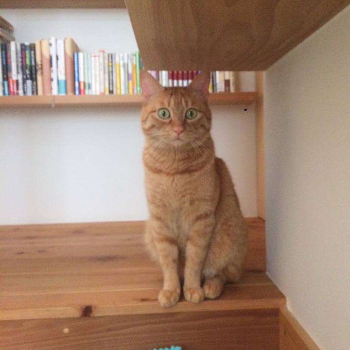 D5bf4a26 3b74 4ea8 addc fdca1c3f5de6