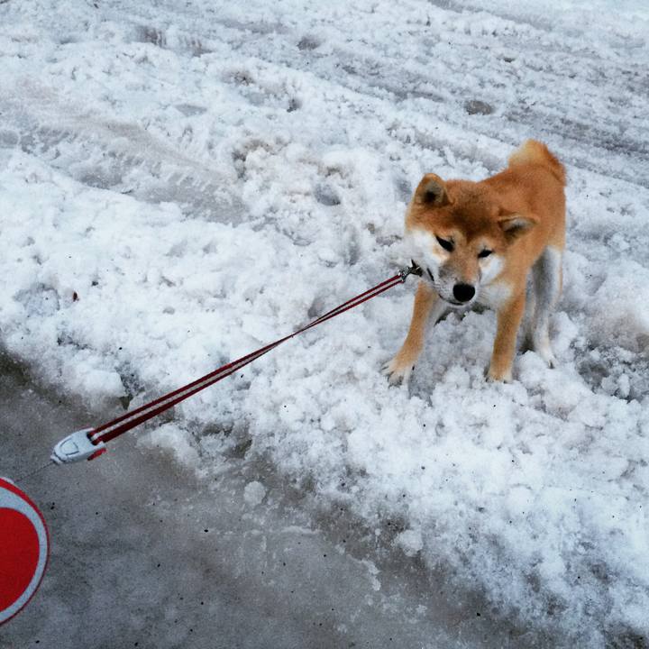 D5bf93ef 6f63 4b1e acae 4d68670ebee1