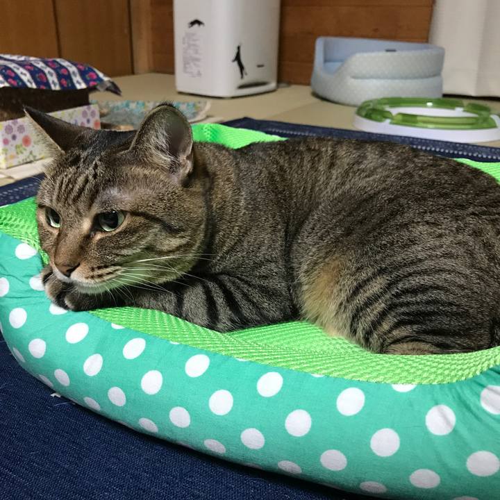 D5c03f7d 29a3 4ee8 bda7 32b9bd53f8d5