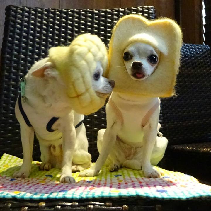 D5c0f9be e155 429b aef6 1e78ca793110