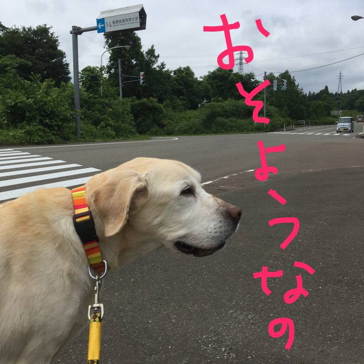 D5c15e8f 49ba 4f53 9375 b717f1566407