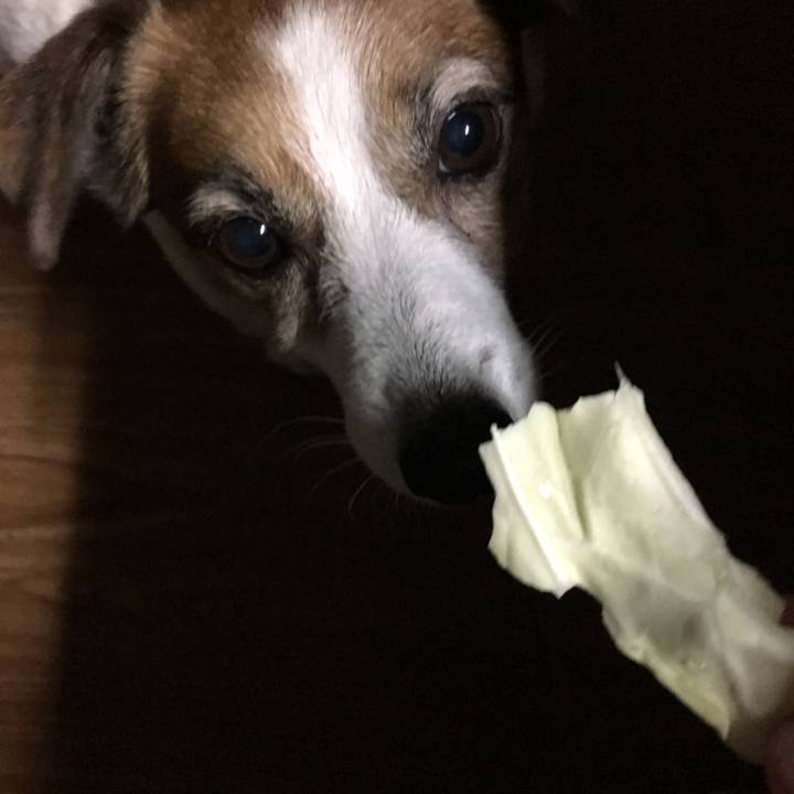 D5c17c50 0e5b 4e9a a5c6 d665b12b010c