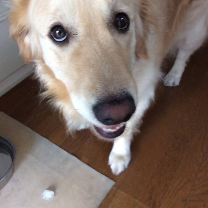 D5c18c77 01c0 4ee8 98ee 653bc78aac83