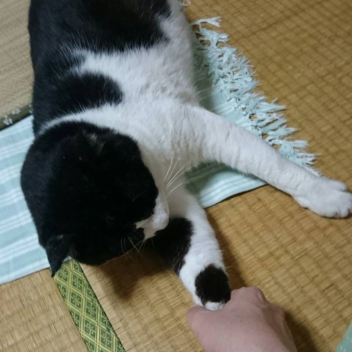 D5c1c3b7 c76e 48c1 8144 0d094fc0dfc6