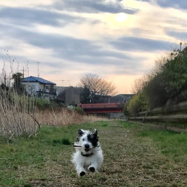 D5c1dc48 d117 4279 a0ab 8dd3b7b98bef