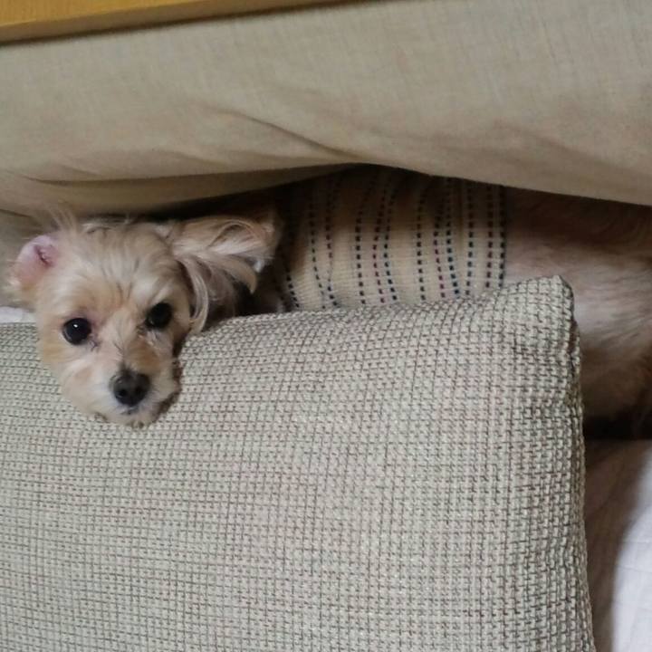 D5c214e3 1b5d 4fd8 900a fe3fd4352bf5