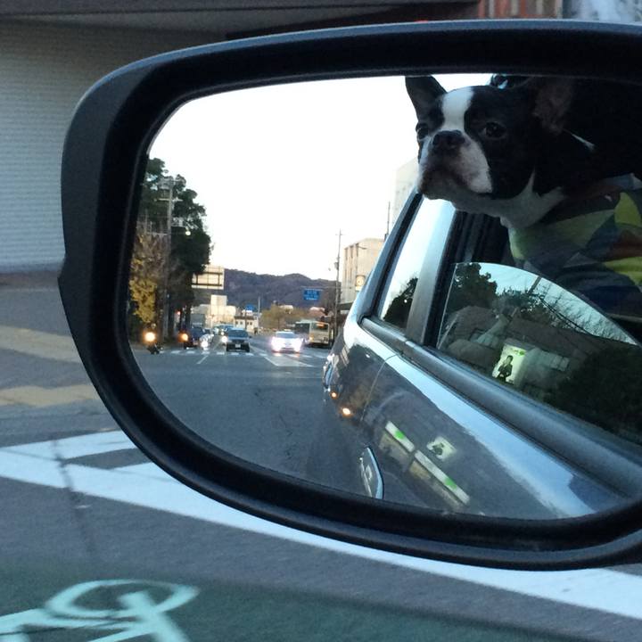 D5c25300 3036 4a26 ba06 3f72ff658f53