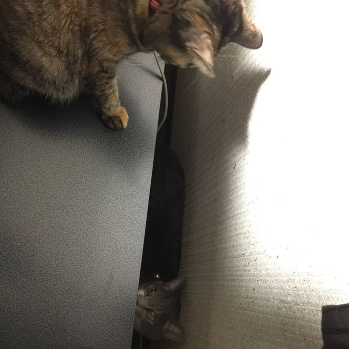 D5c29fb2 a857 4435 ab33 e0c56ed6939f