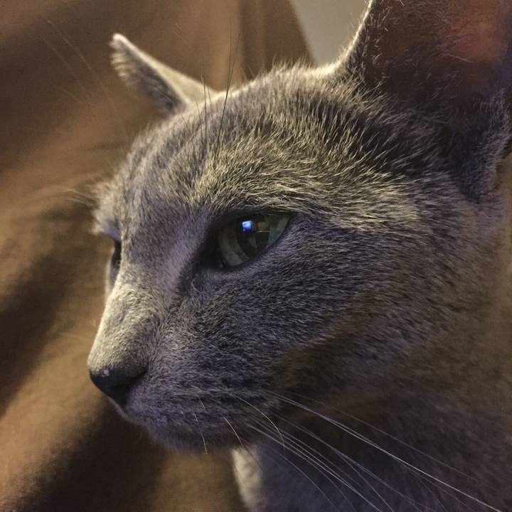 D5c3132f 4247 4771 85b9 9e571083f222