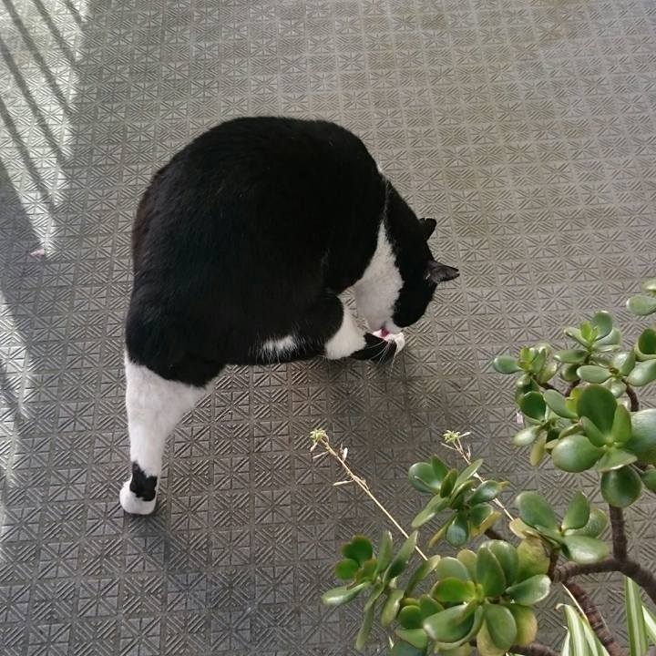 D5c37378 8b13 4298 a49f 5a169b42475d