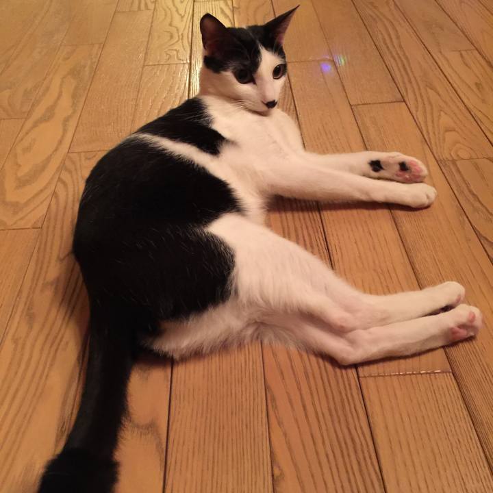 D5c405f2 e786 4c43 9445 b02ef61df504