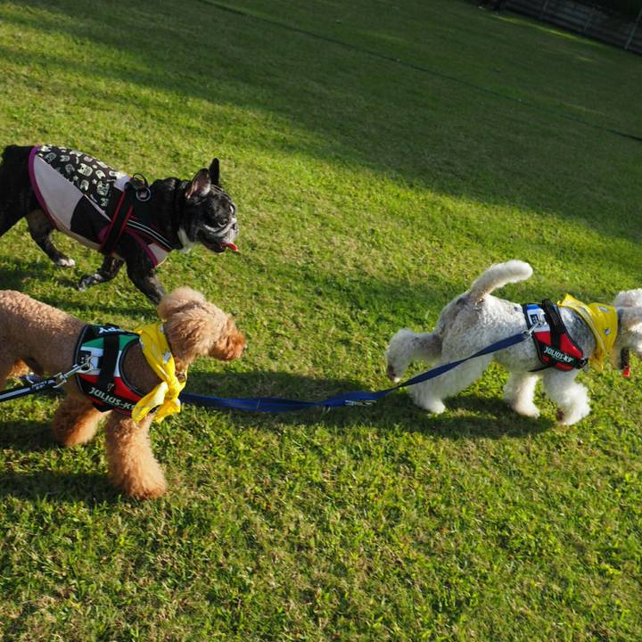 D5c44d30 04c0 42bb b8c2 7c5b8cb1c21e