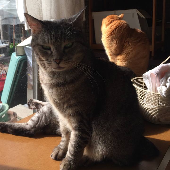 D5c48a9c 926f 42f5 91de 1e1d9baf2613