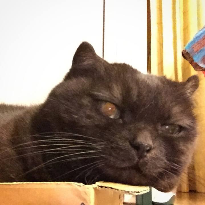 D5c48db3 3ae3 4d2b 9492 7b5373b80c23