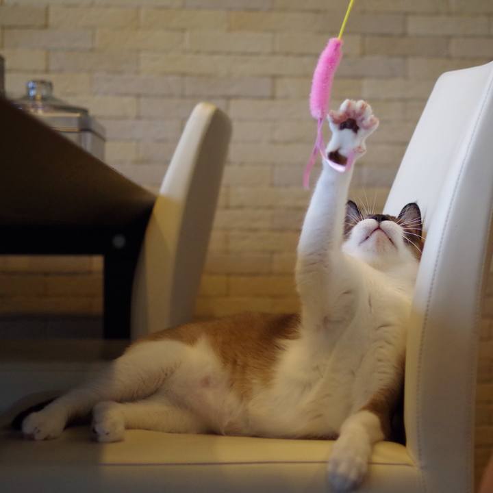 D5c4c885 3a3b 40c6 924d 36d934704fa8