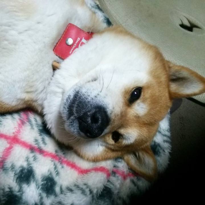 D5c5e36a b0f1 47f3 bde0 d408e6088799