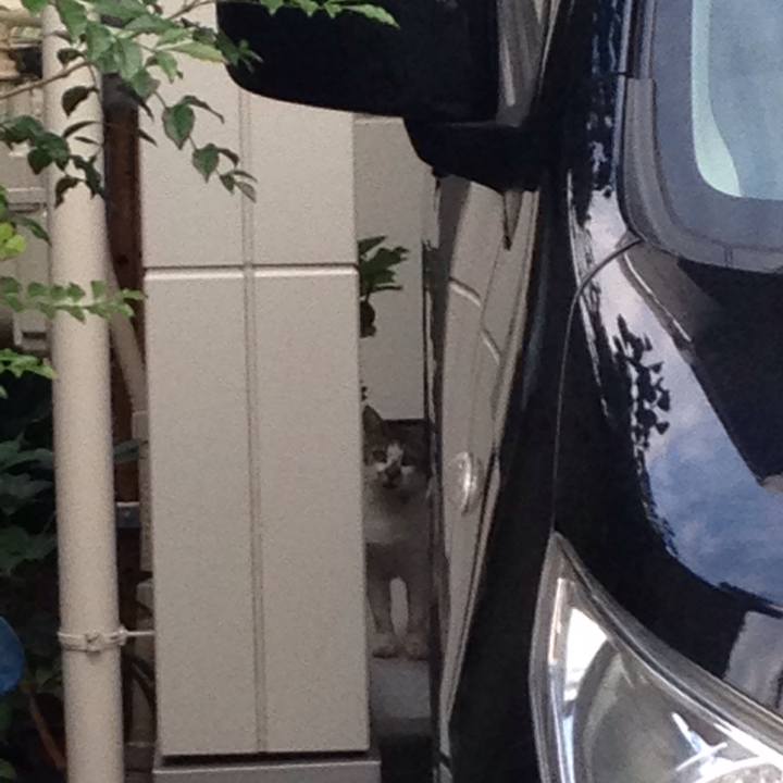 D5c6029f b523 4c4f a8c1 b3fd8d37f8b1