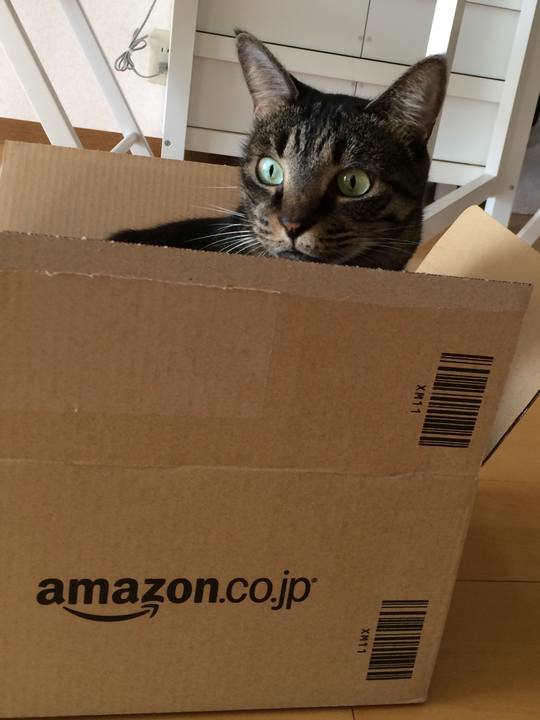 D5c616bf 715f 405a 89d7 d5e94cca5691