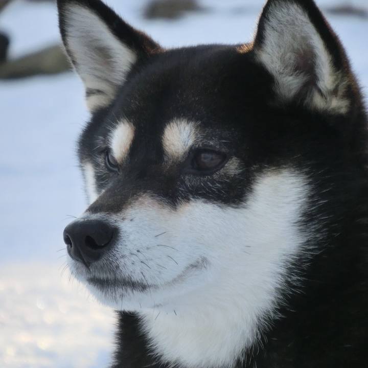 D5c64fb2 cf6f 4ec9 a8c5 0cab7e437456